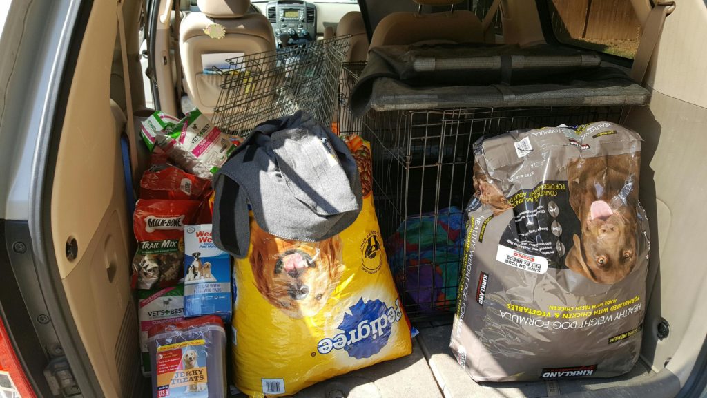 media_d17f3d272772502d820ea5d98a381944